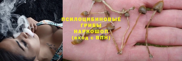 прущие крисы Алексин