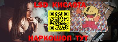 ешки Кингисепп