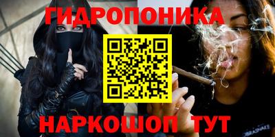 ешки Кингисепп