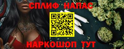 ешки Кингисепп