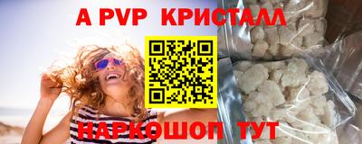 ешки Кингисепп