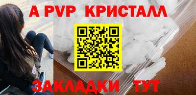 ешки Кингисепп