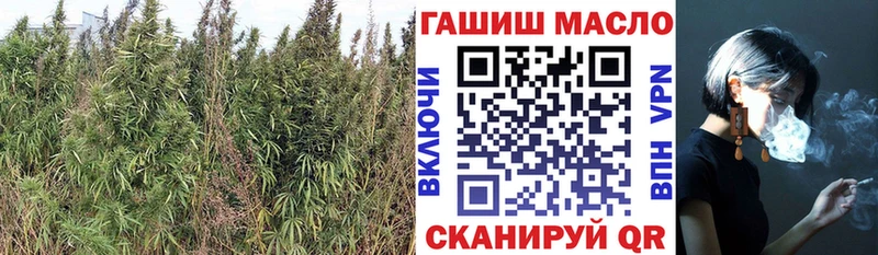 Дистиллят ТГК жижа  сколько стоит  Котовск 