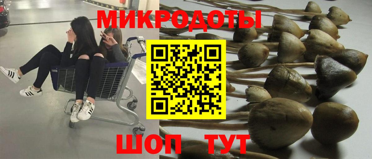 Псилоцибиновые грибы ЛСД Котовск