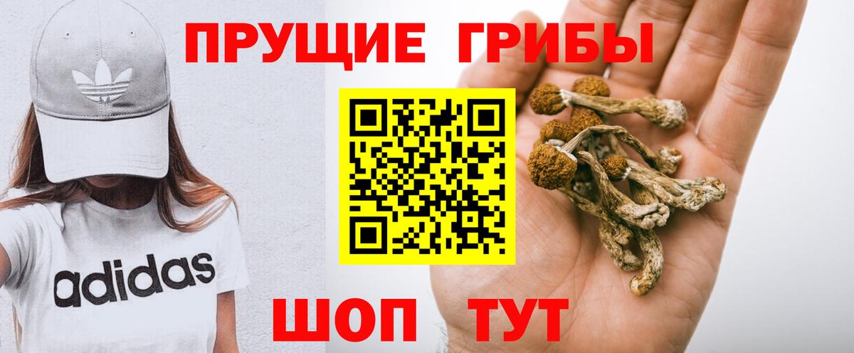 Галлюциногенные грибы Psilocybine cubensis  Галлюциногенные грибы прущие грибы  Котовск  Вход с VPN 